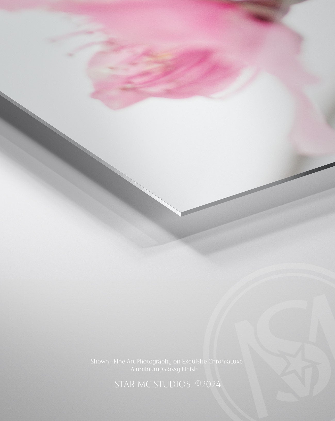 Delicate pink Georgia peach blossom emerging through morning fog, captured in limited edition Southern fine art photography—botanical wall art for collectors.